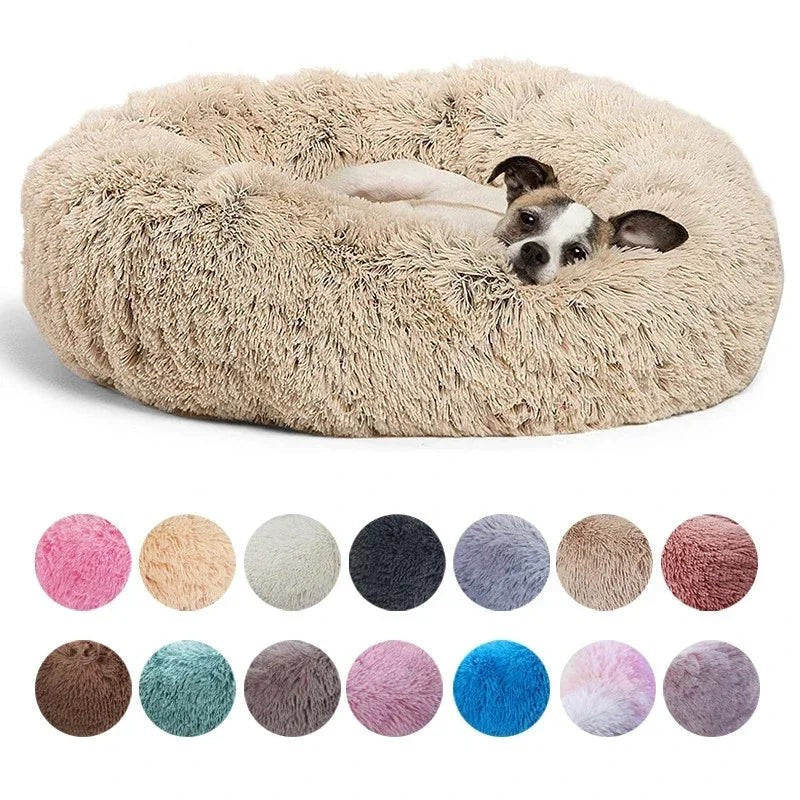 Beds & Comfort