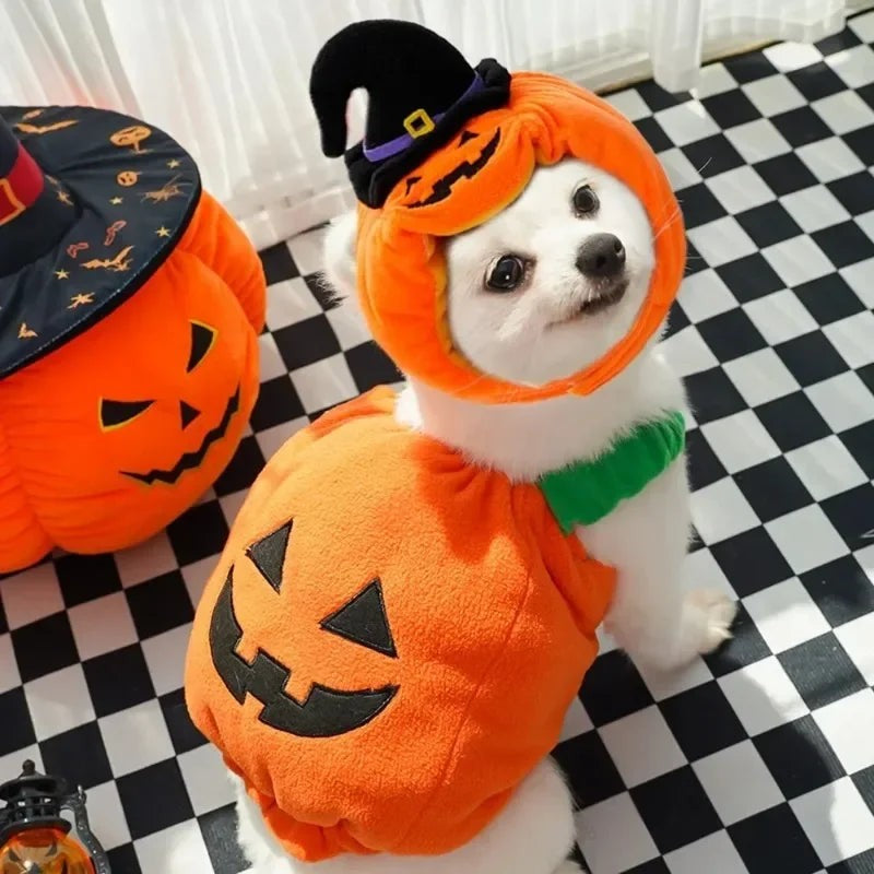 Costumes & Outfits