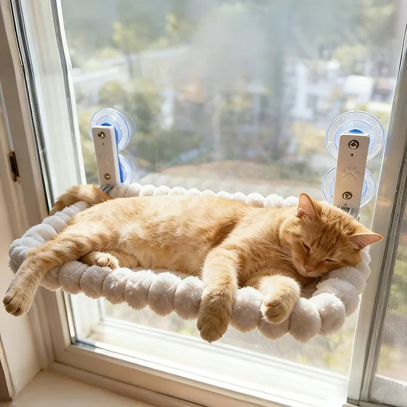 For Cats