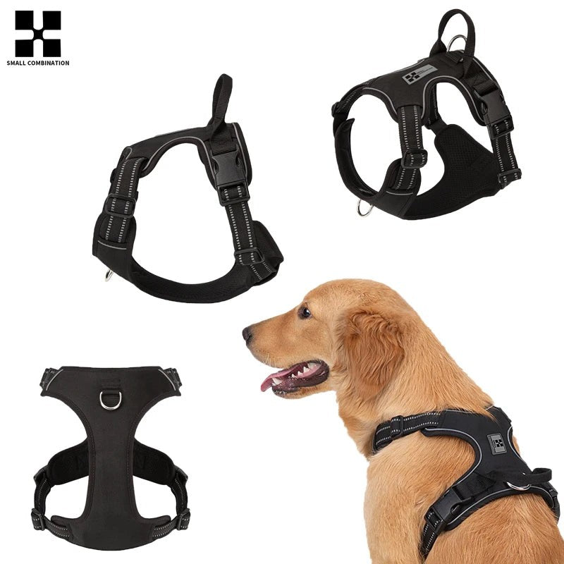 For Dogs