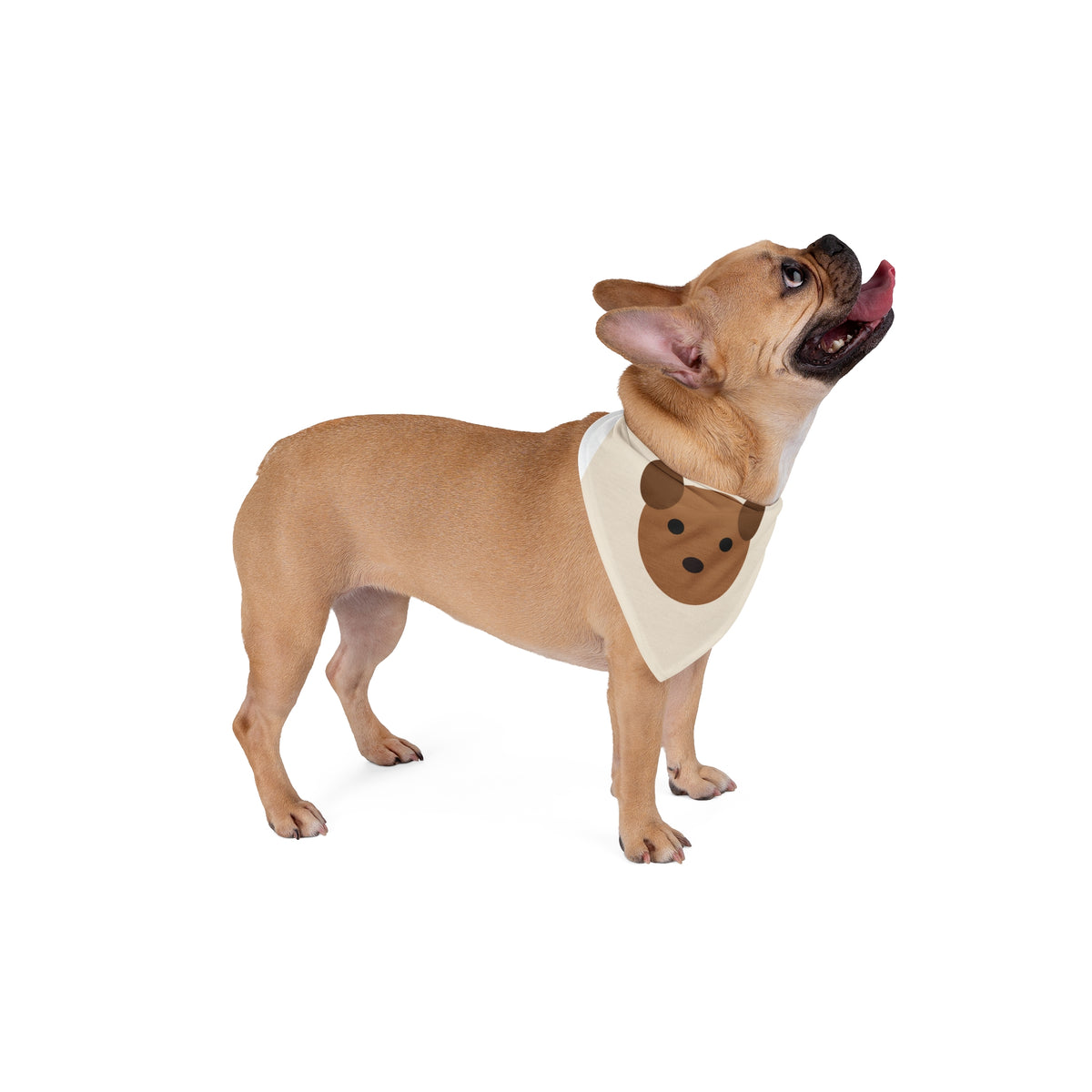 Custom Pet Photo Pet Bandana