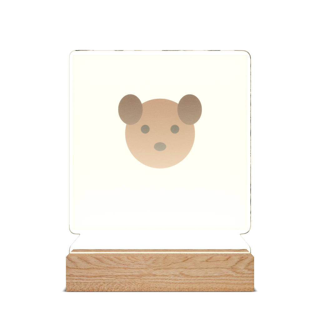 Custom Pet Photo Night Light