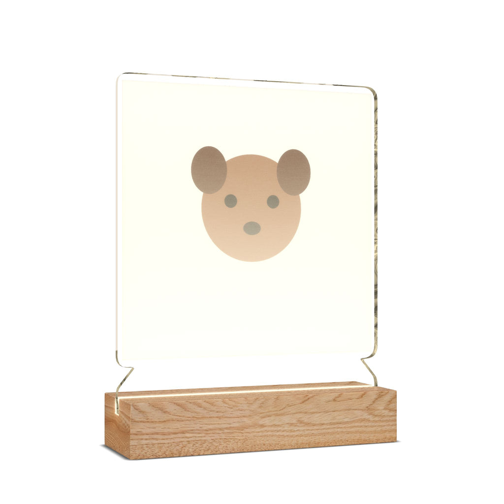 Custom Pet Photo Night Light