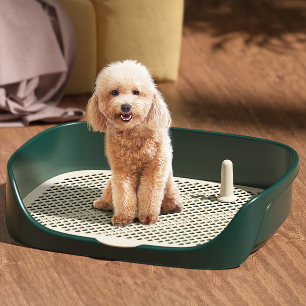 Indoor Dog Potty Tray with Splash Wall, Pee Pad Holder for Puppies