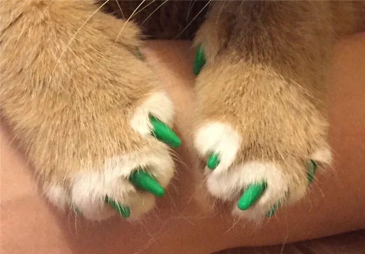 Soft Cat Nail Caps with Adhesive Glue and Applicator, 20-Pack Set