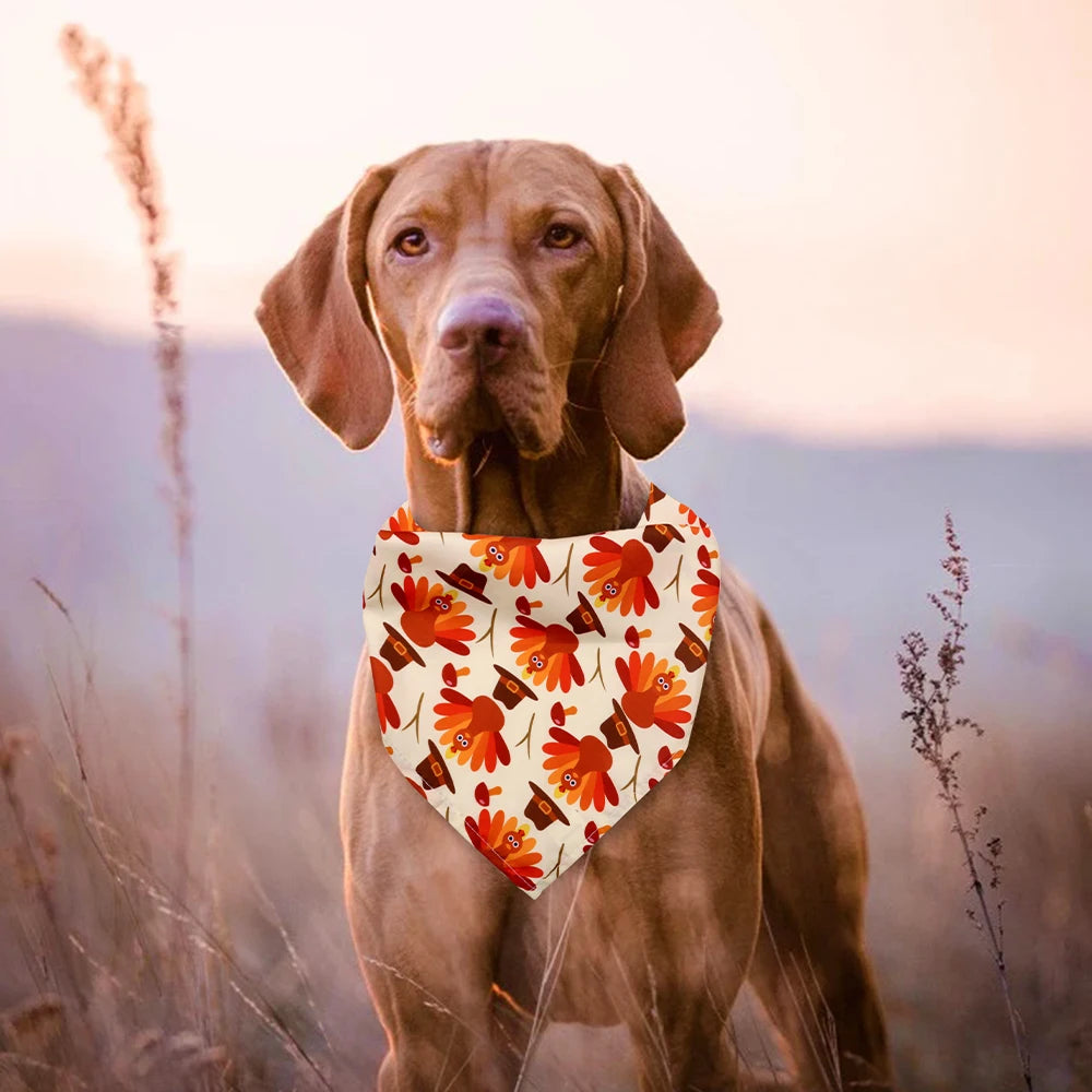 Thanksgiving Turkey Dog Bandana, Fall Pet Scarf for Dogs & Cats