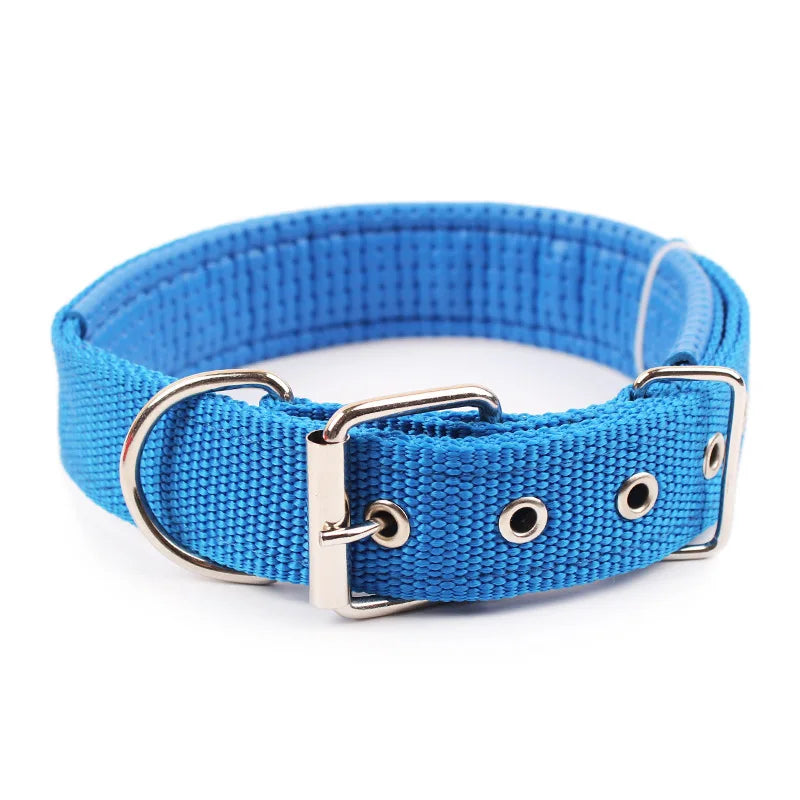 Adjustable Nylon Dog Collar for Small, Medium & Large Dogs Durable