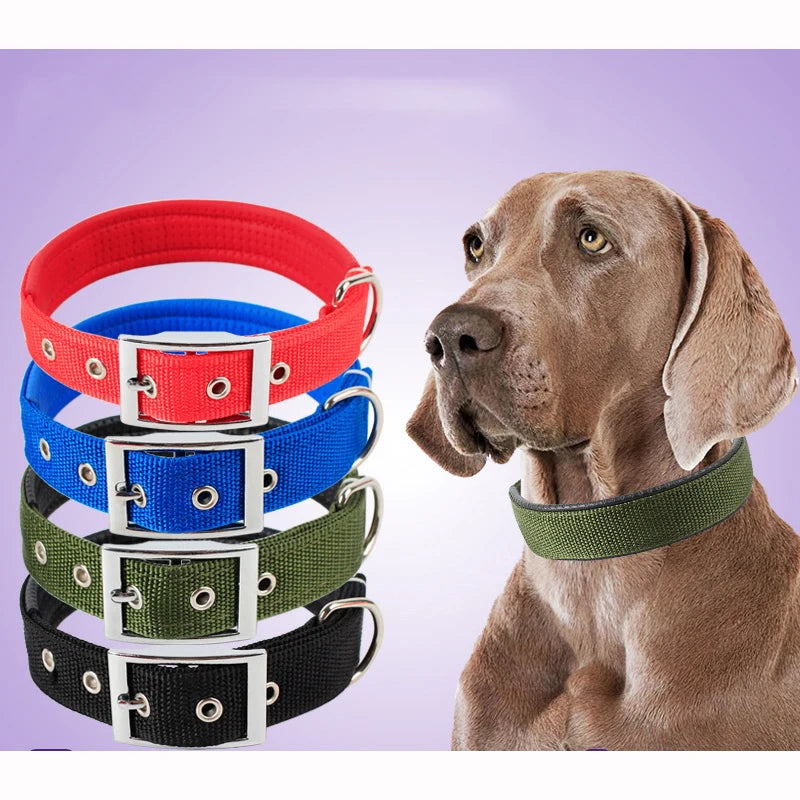 Adjustable Nylon Dog Collar for Small, Medium & Large Dogs Durable