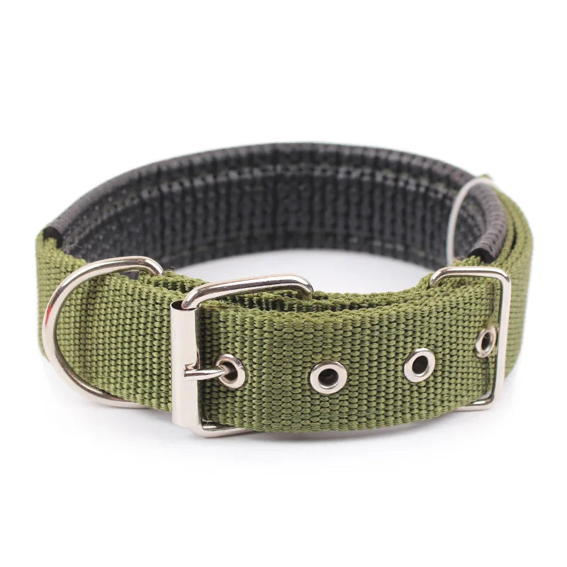 Adjustable Nylon Dog Collar for Small, Medium & Large Dogs Durable
