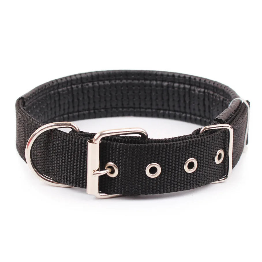 Adjustable Nylon Dog Collar for Small, Medium & Large Dogs Durable