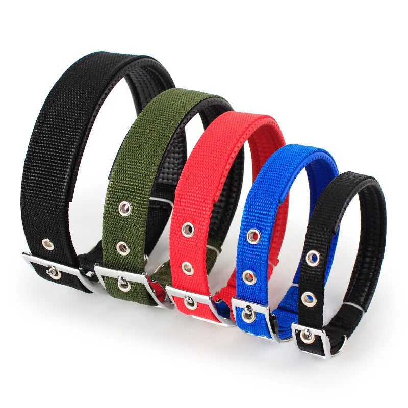 Adjustable Nylon Dog Collar for Small, Medium & Large Dogs Durable