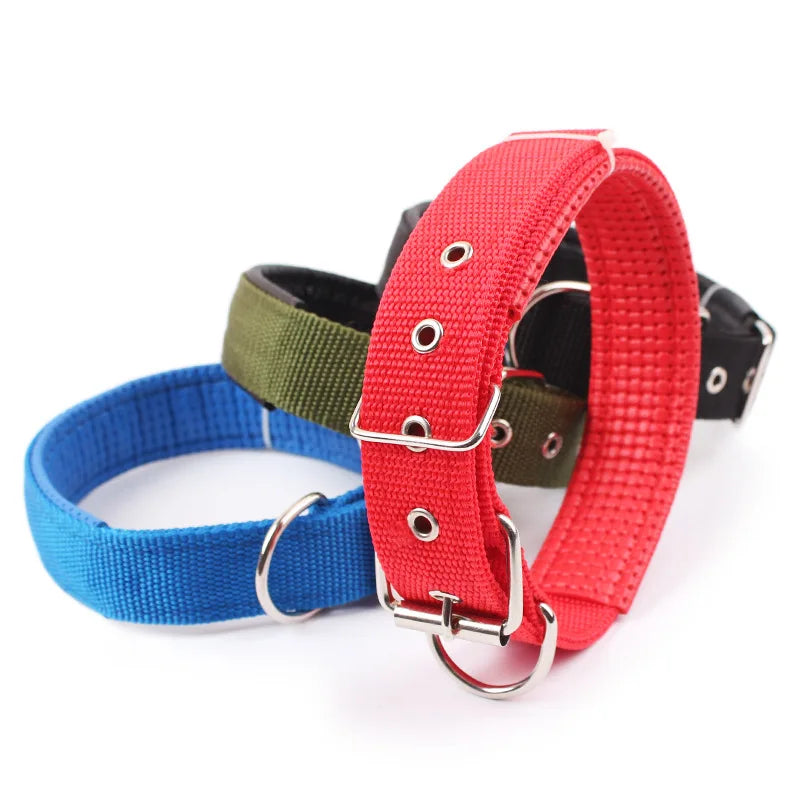 Adjustable Nylon Dog Collar for Small, Medium & Large Dogs Durable