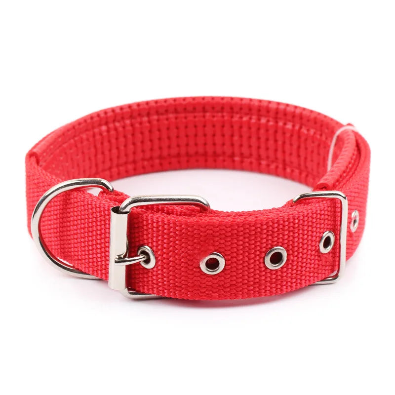 Adjustable Nylon Dog Collar for Small, Medium & Large Dogs Durable