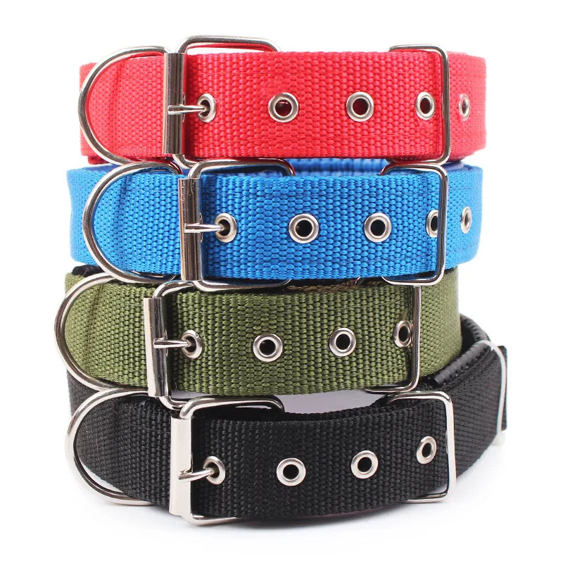 Adjustable Nylon Dog Collar for Small, Medium & Large Dogs Durable
