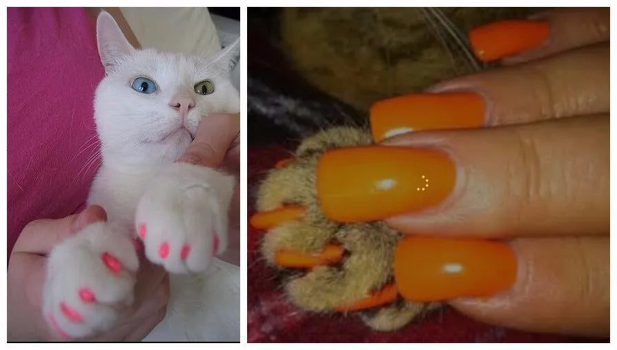 Soft Cat Nail Caps with Adhesive Glue and Applicator, 20-Pack Set