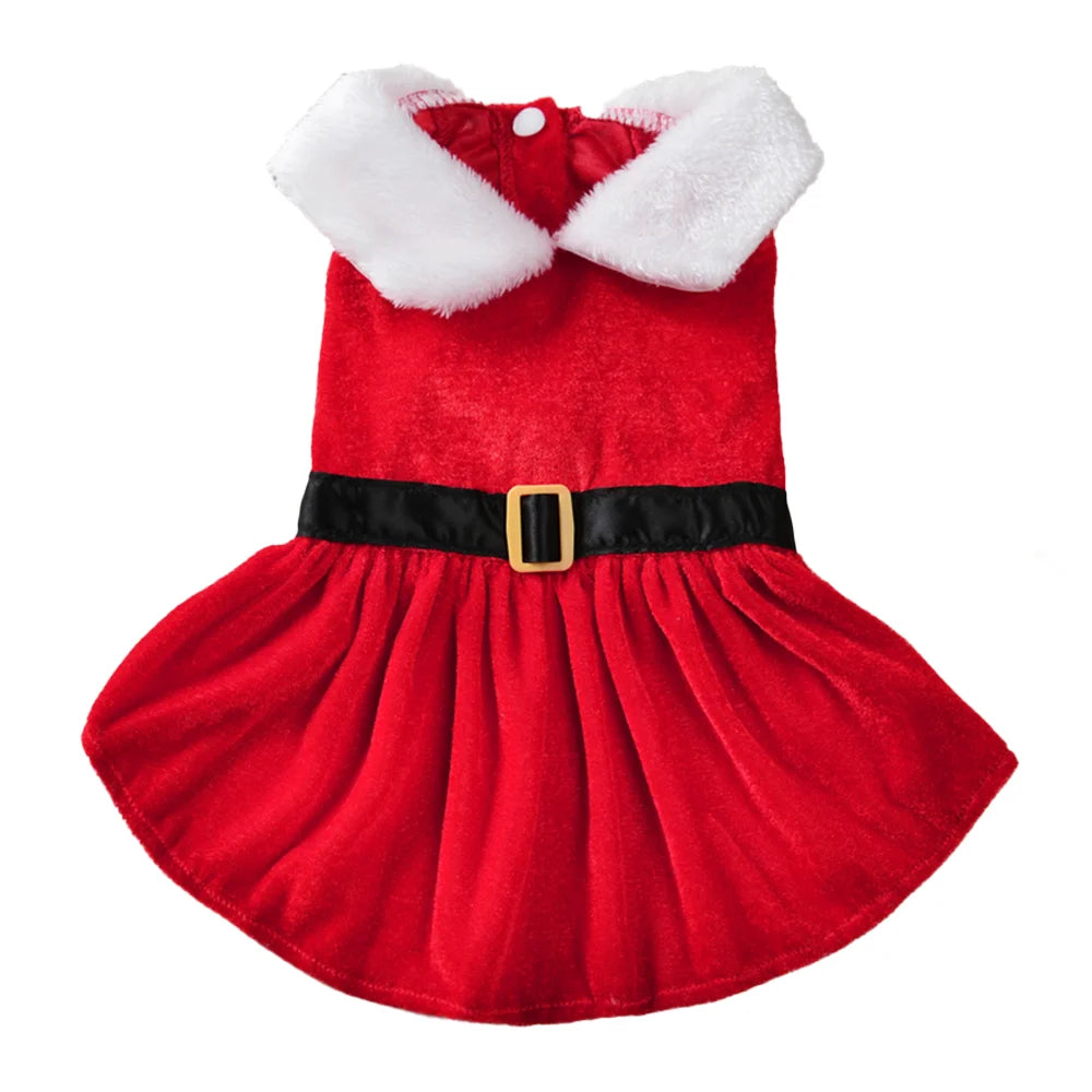 Christmas Santa Costume for Small & Medium Dogs