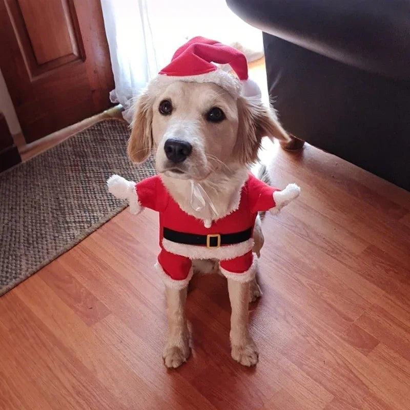 Dog Santa Claus Christmas Costume for Small Dogs & Cats