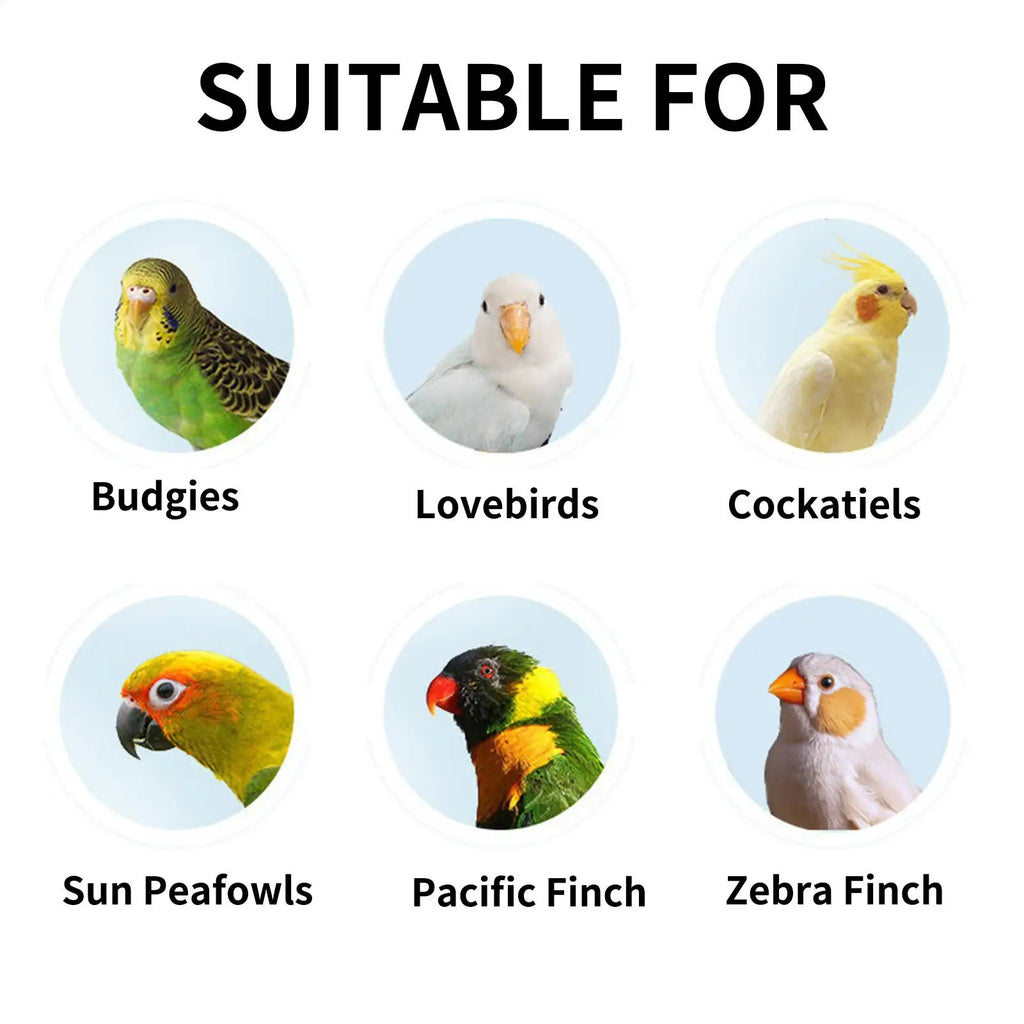 Interactive Hand-Shaped Bird Perch Stand for Conures & Cockatiels