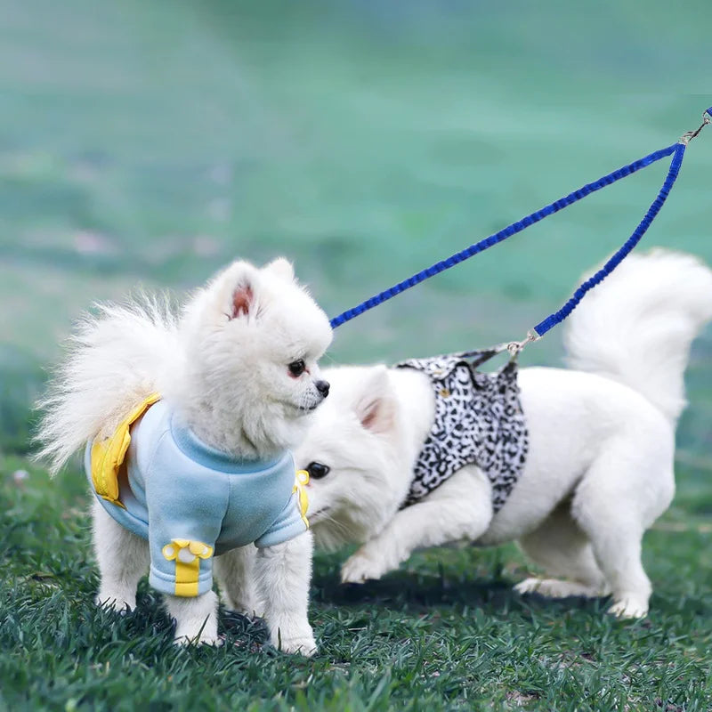 No-Tangle Double Dog Leash with Reflective Bungee for Two Dogs