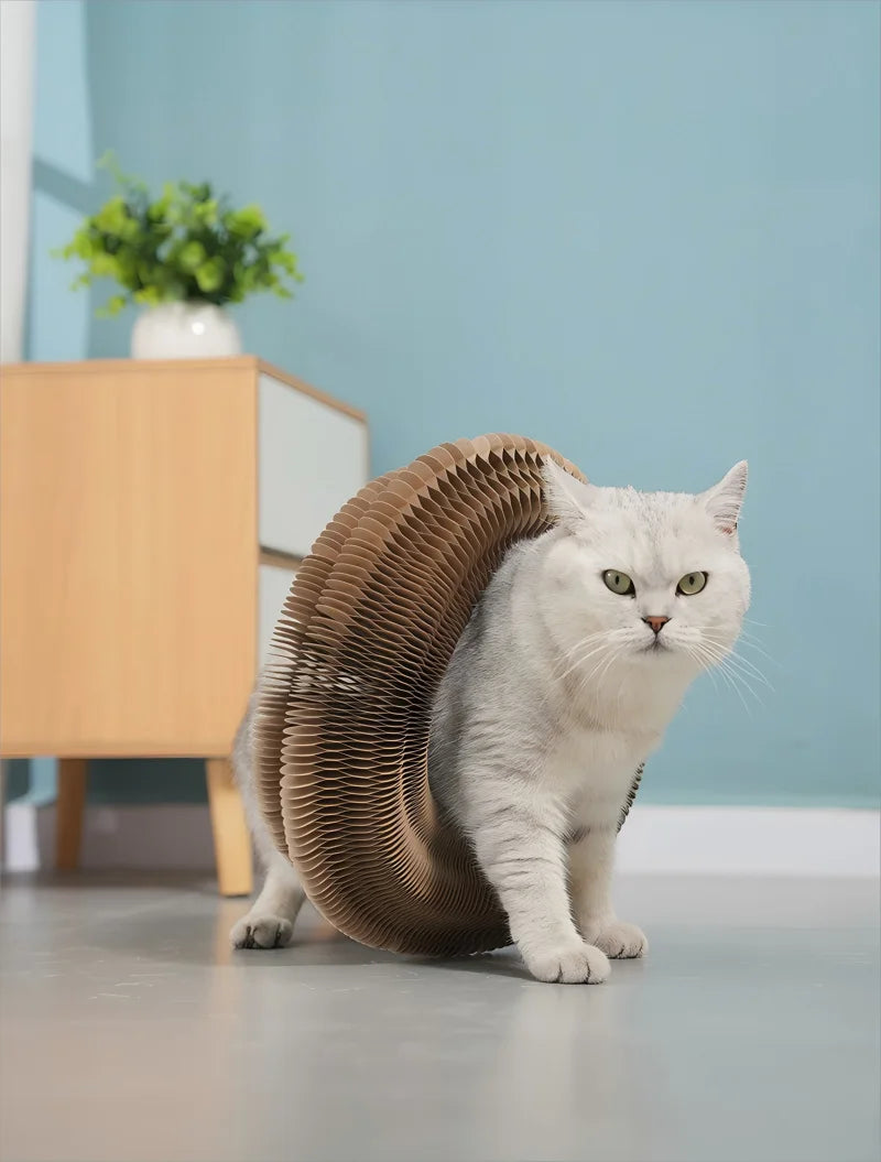 Foldable Accordion Cardboard Cat Scratching Board Lounge