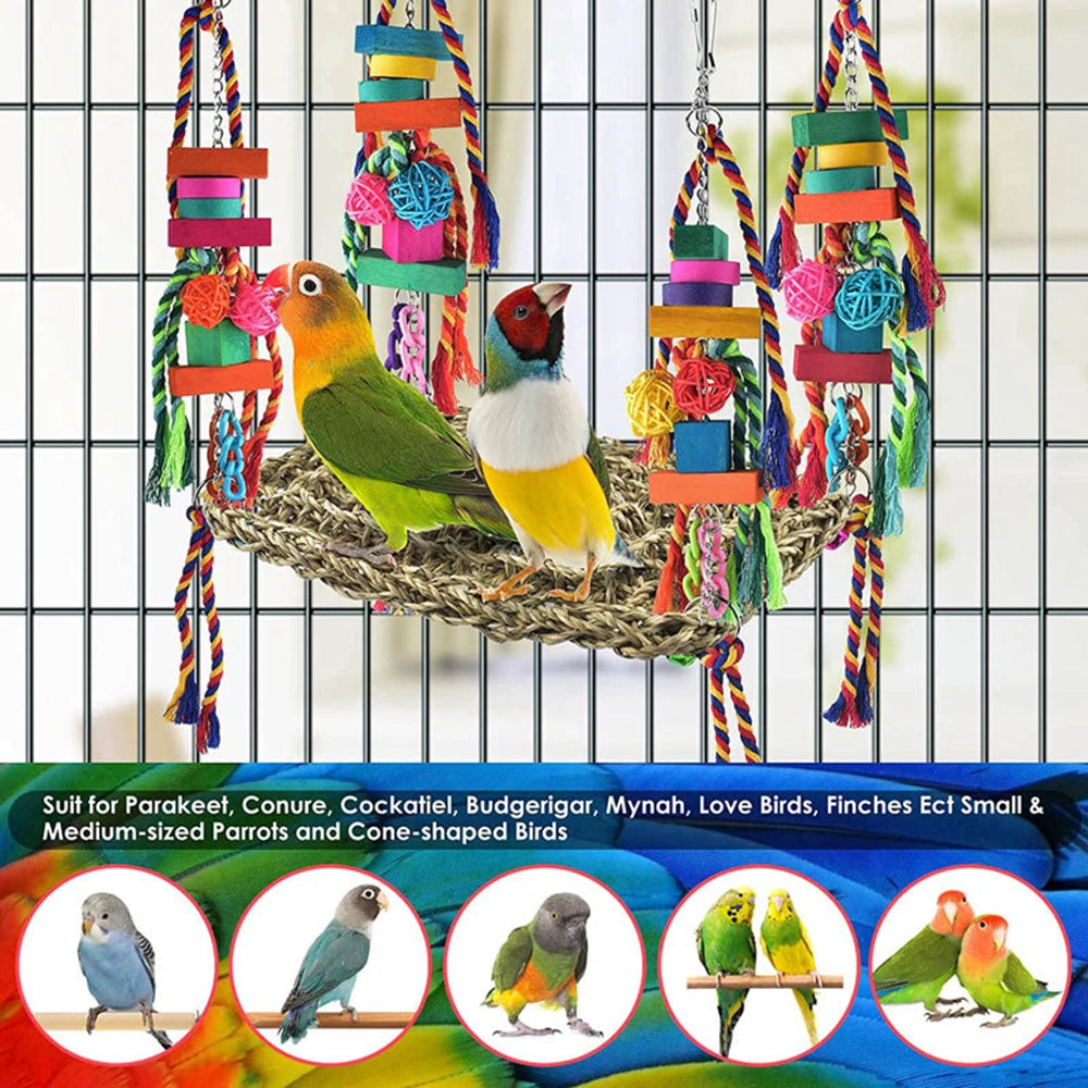 Colorful Parrot Climbing Net Hammock with Hanging Bird Cage Toys