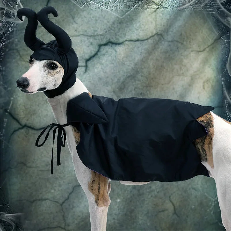 Halloween Maleficent Cape with Hat Costume for Dogs & Cats Party
