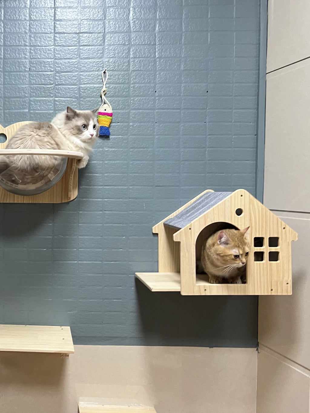 Wall-Mounted Cat Castle House Shelf, Climbing Hideaway Bed for Cats