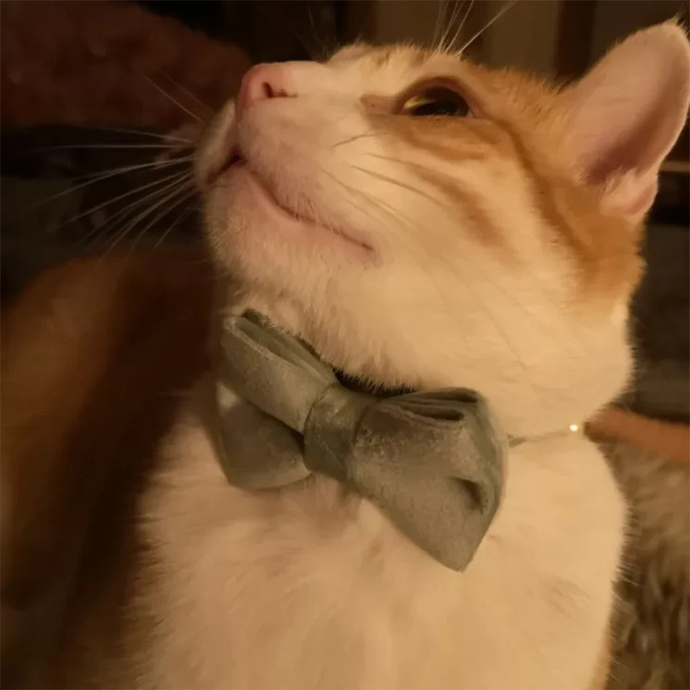 Adjustable Velvet Cat Collar with Bowknot, Safe Breakaway Style