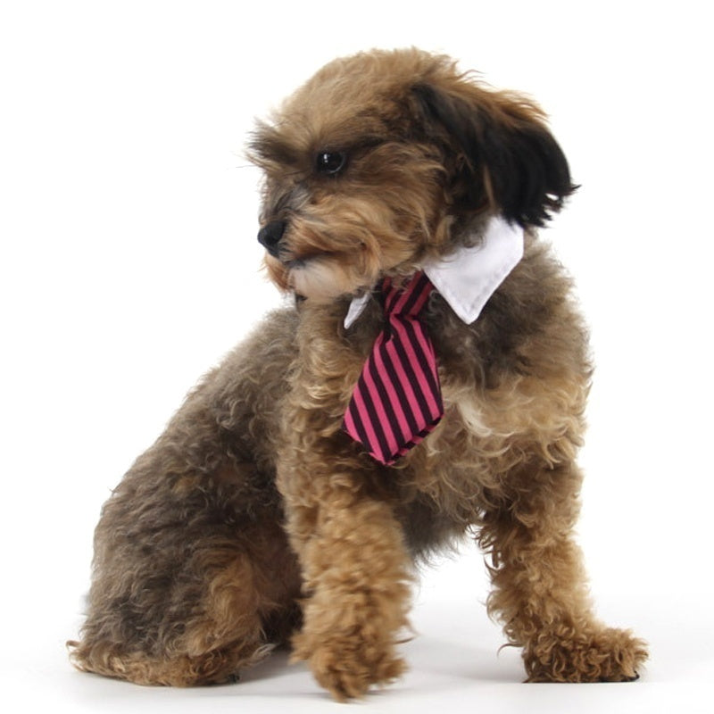 Christmas Cat & Dog Bow Tie Collar, Adjustable Striped