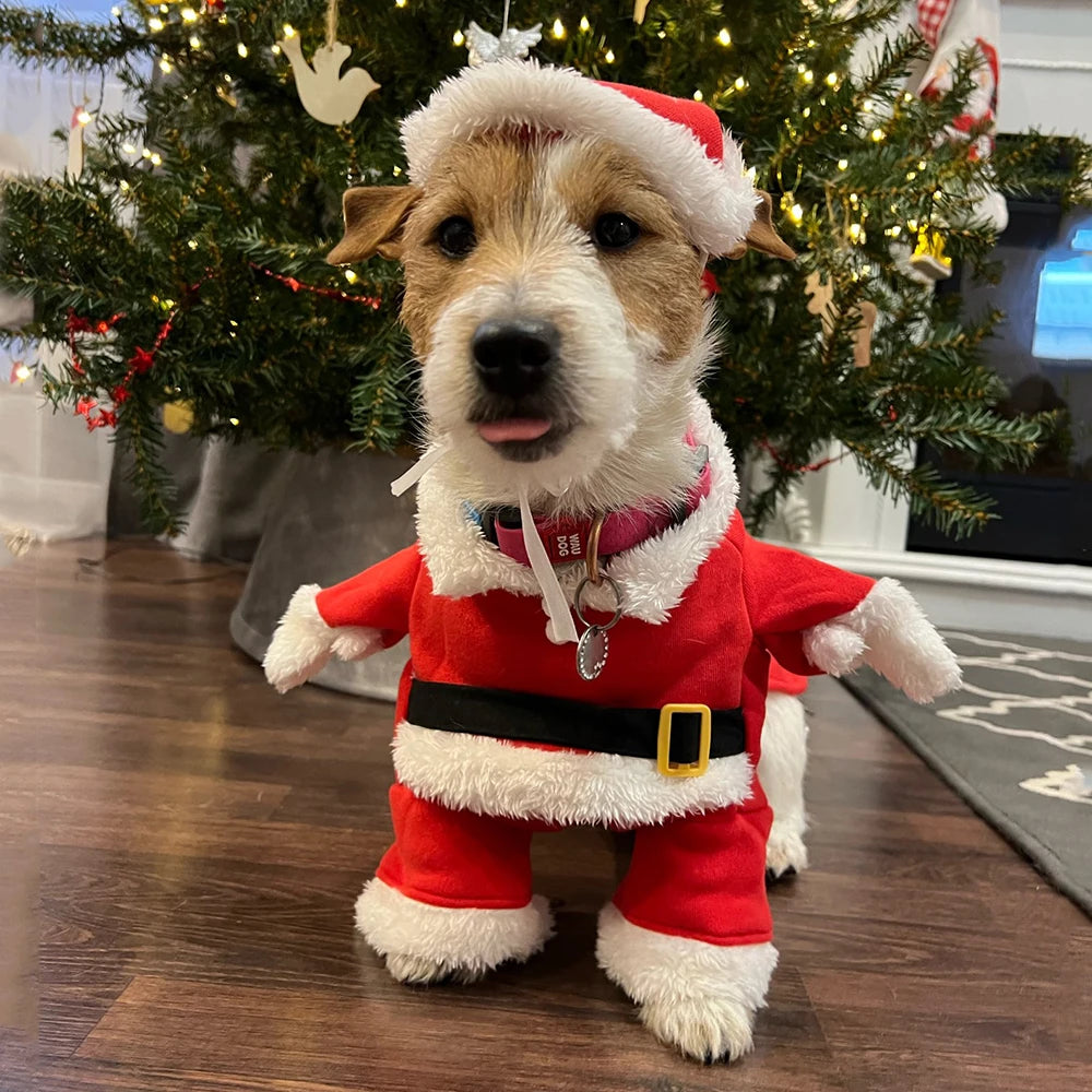 Funny Santa Claus Costume for Small & Medium Dogs and Cats