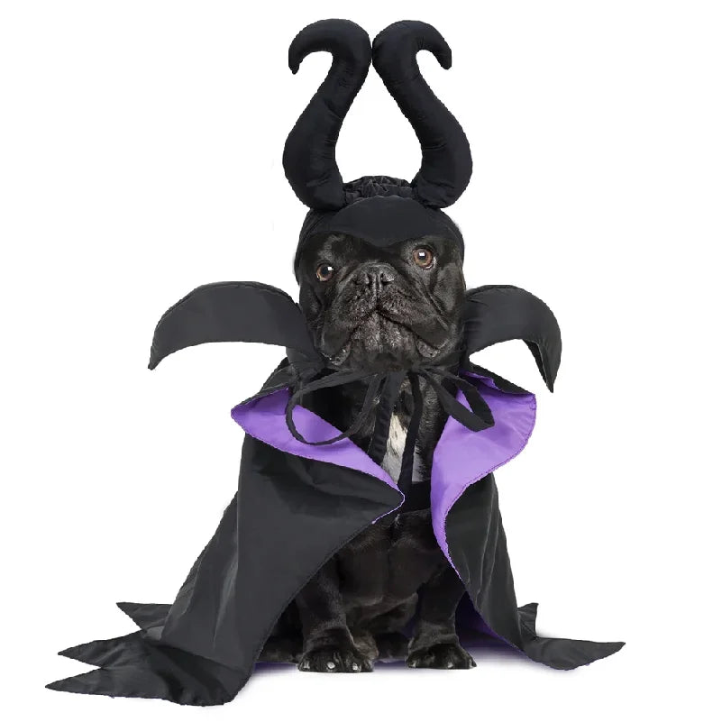 Halloween Maleficent Cape with Hat Costume for Dogs & Cats Party