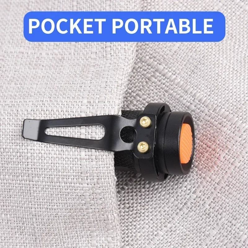 UV Black Light Flashlight for Detecting Pet Urine Stains on Carpet