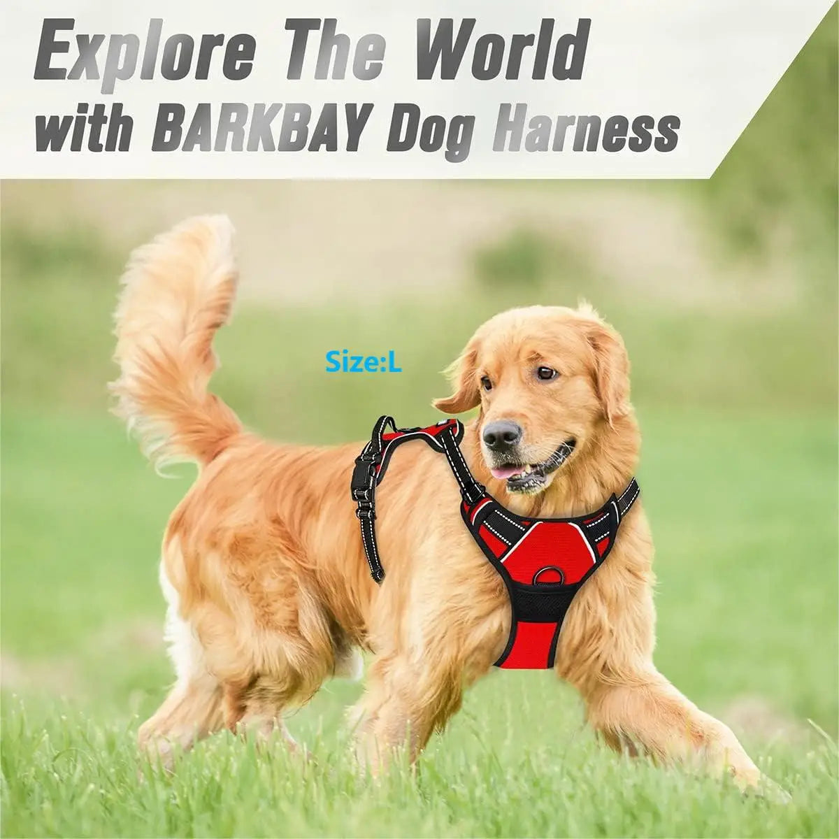 Adjustable No-Pull Dog Harness with Front Clip & Reflective Strips
