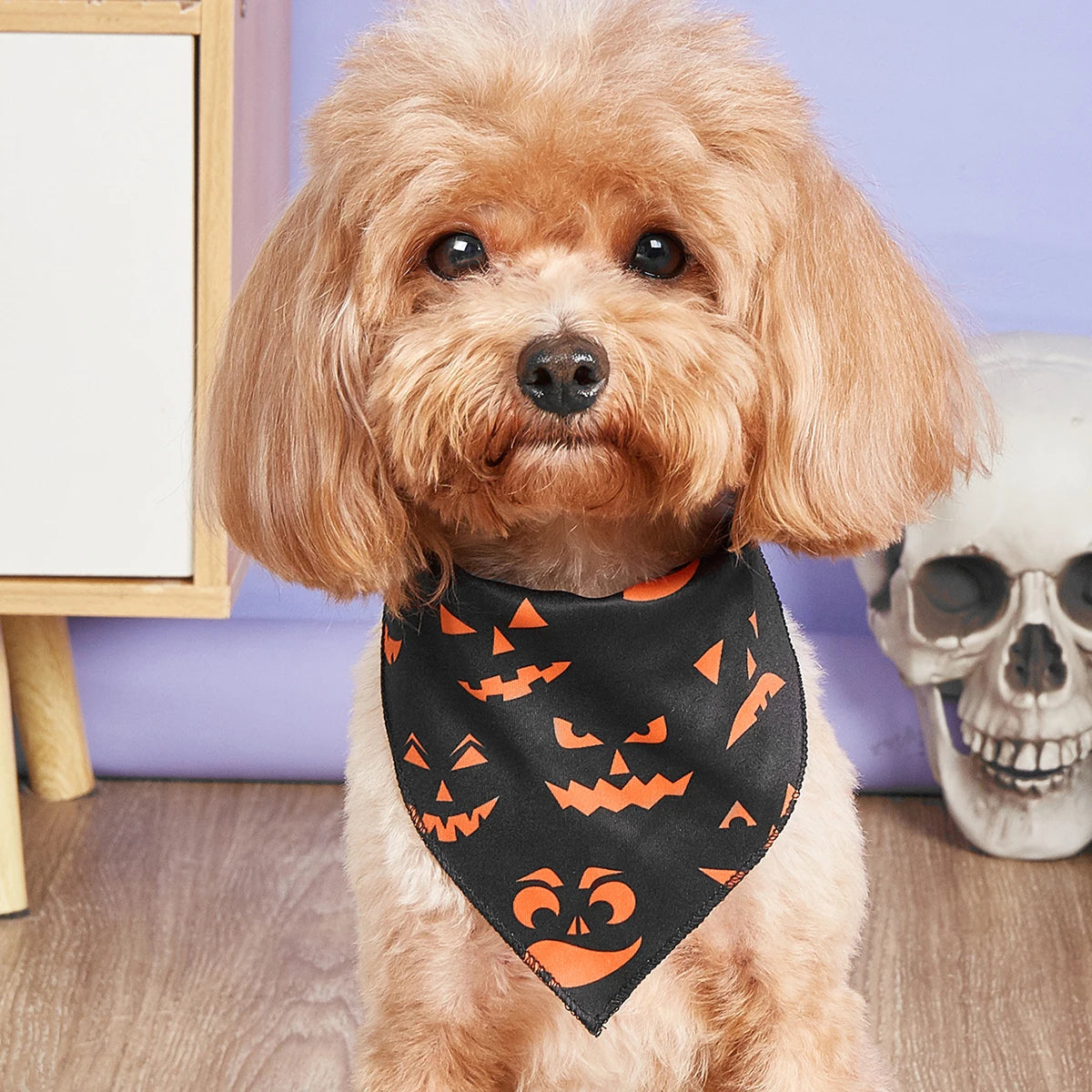 Halloween Dog Bandana with Pumpkin & Spider Web Print, Adjustable