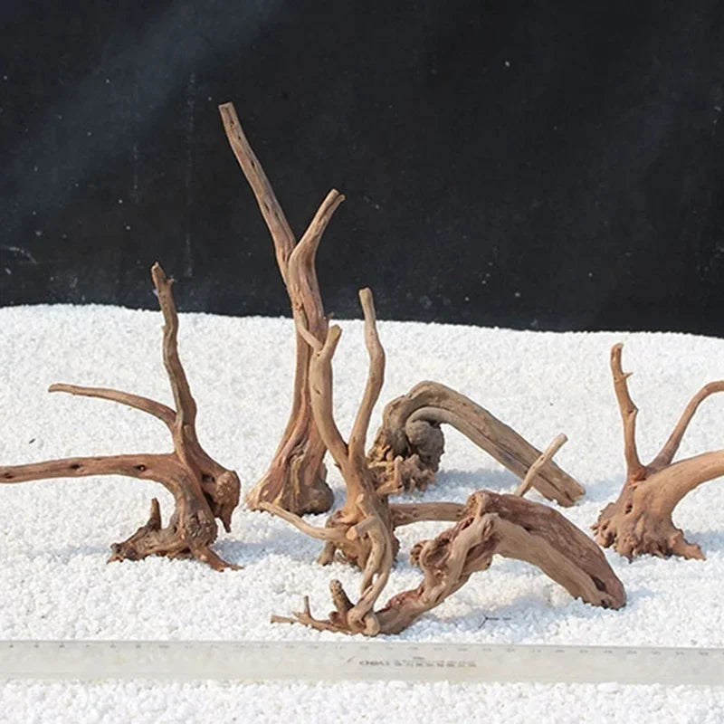 Natural Driftwood Tree Trunk Decor for Aquariums and Reptile Tanks