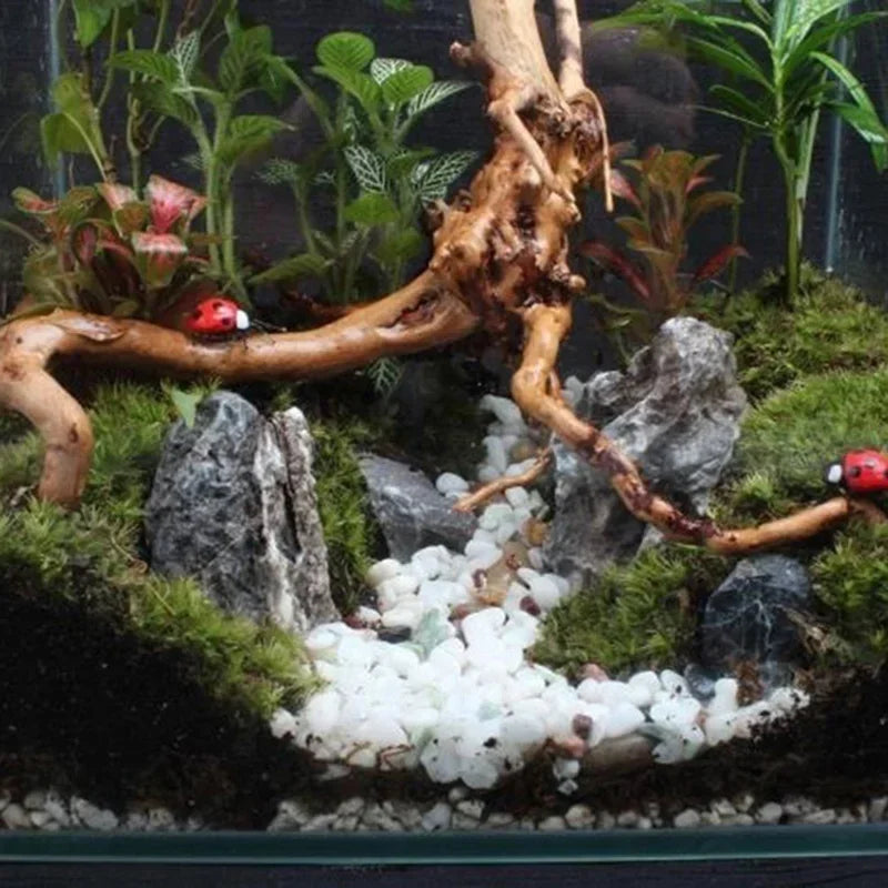 Natural Driftwood Tree Trunk Decor for Aquariums and Reptile Tanks