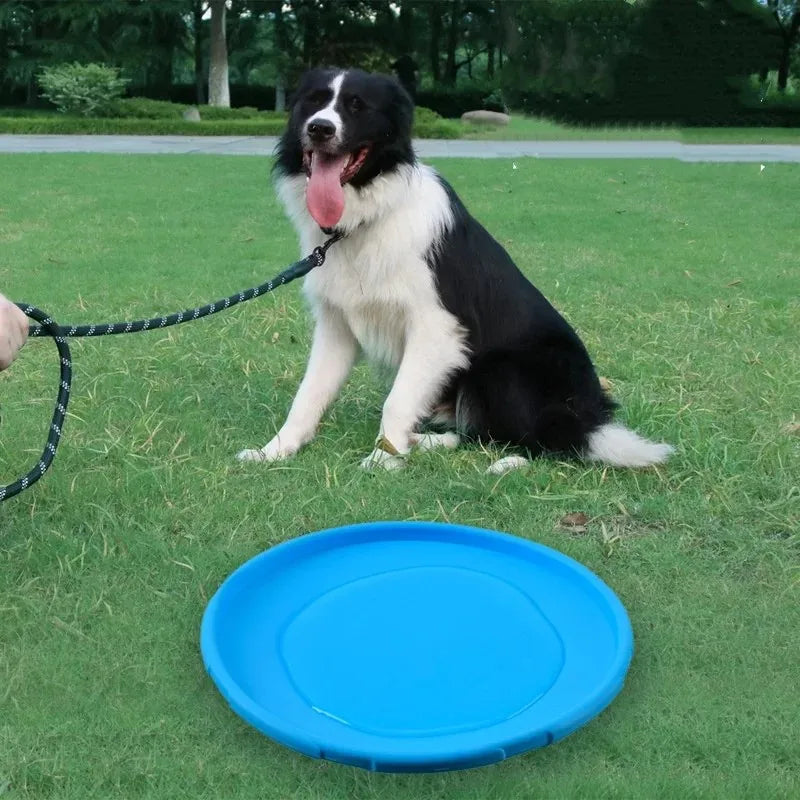 Silicone Dog Frisbee, Bite-Resistant Flying Disc, Assorted Colors