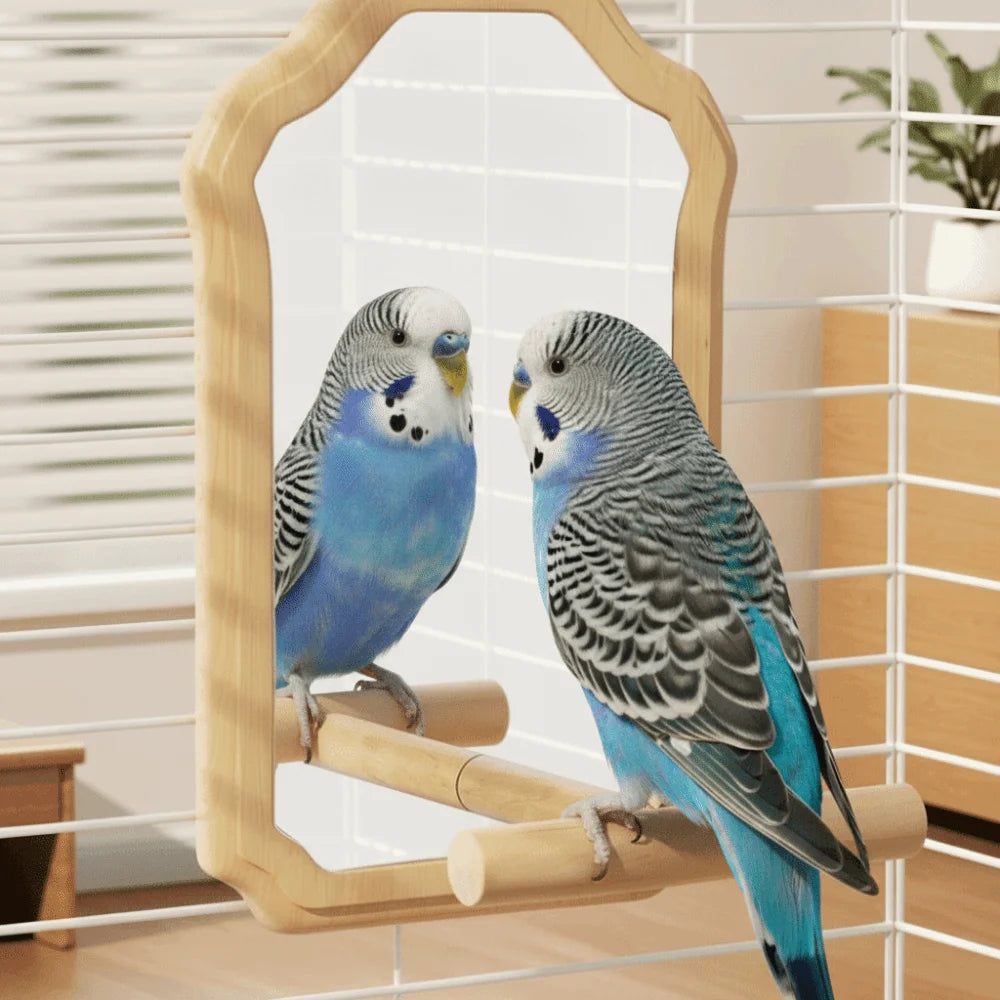 Bird Mirror Perch Toy, Chew-Resistant Interactive Parrot Cage Toy