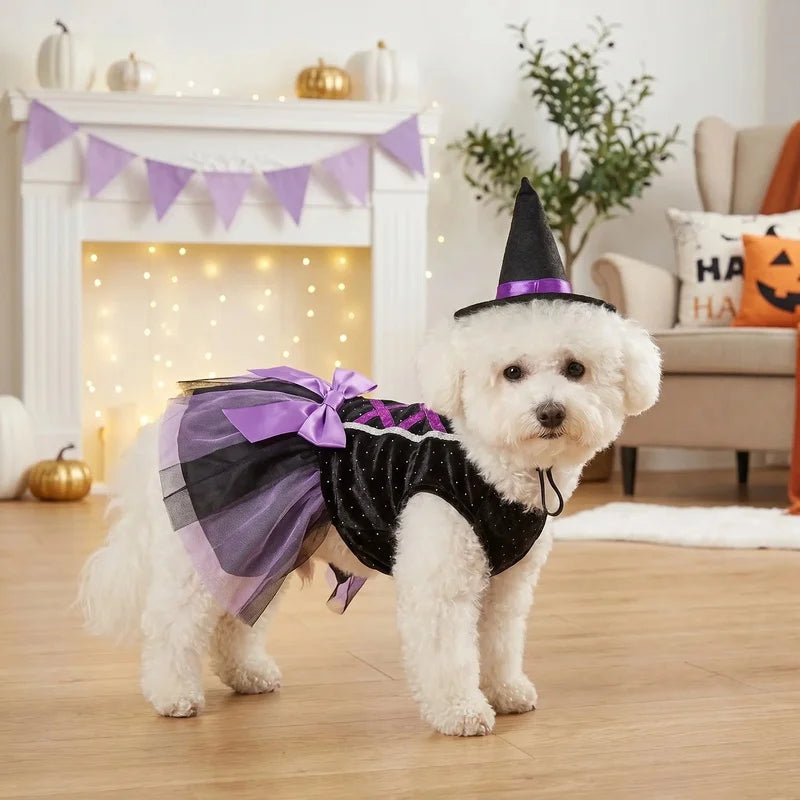 Halloween Witch Tutu Dress with Hat for Small Dogs and Cats, Purple