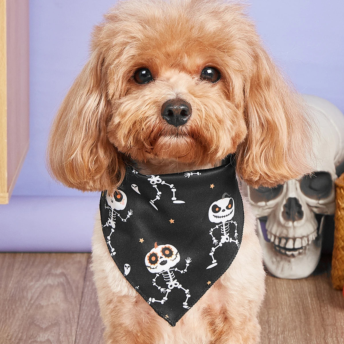 Halloween Dog Bandana with Pumpkin & Spider Web Print, Adjustable