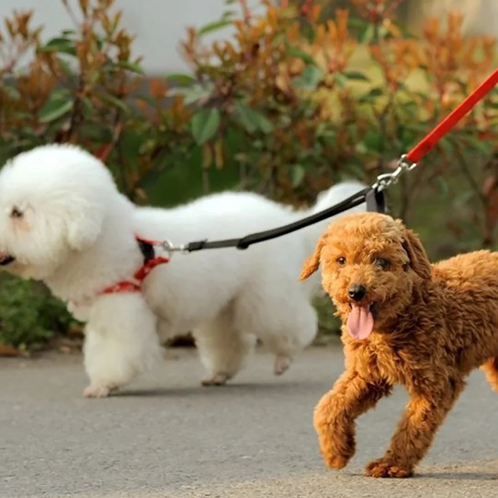 No-Tangle Double Dog Leash with Reflective Bungee for Two Dogs