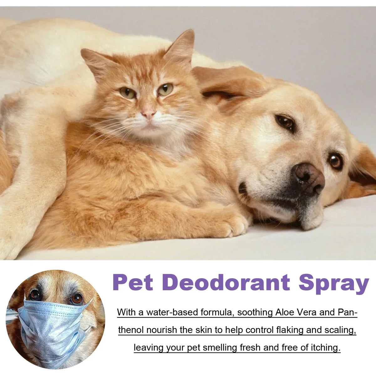 Lavender Pet Deodorizing Spray 50ml, Fresh Scent for Dogs and Cats