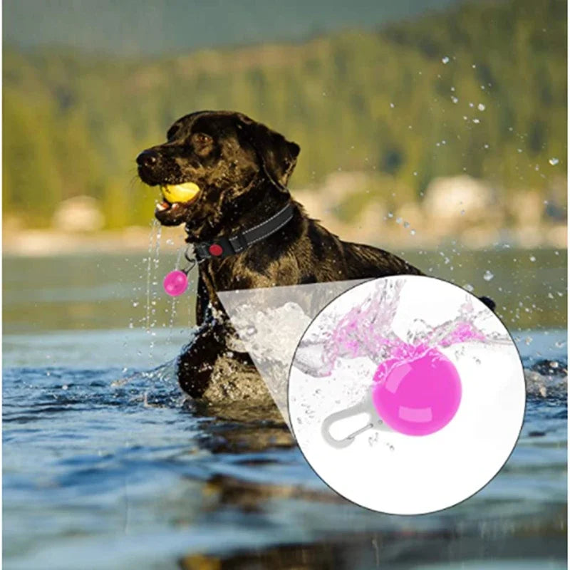 LED Glowing Pet Collar Pendant, Night Safety Light for Dogs & Cats
