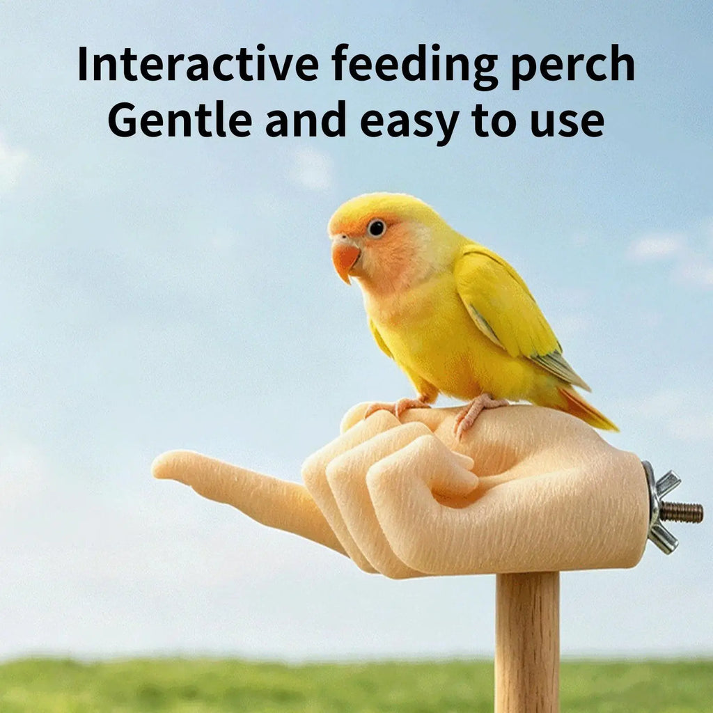 Interactive Hand-Shaped Bird Perch Stand for Conures & Cockatiels