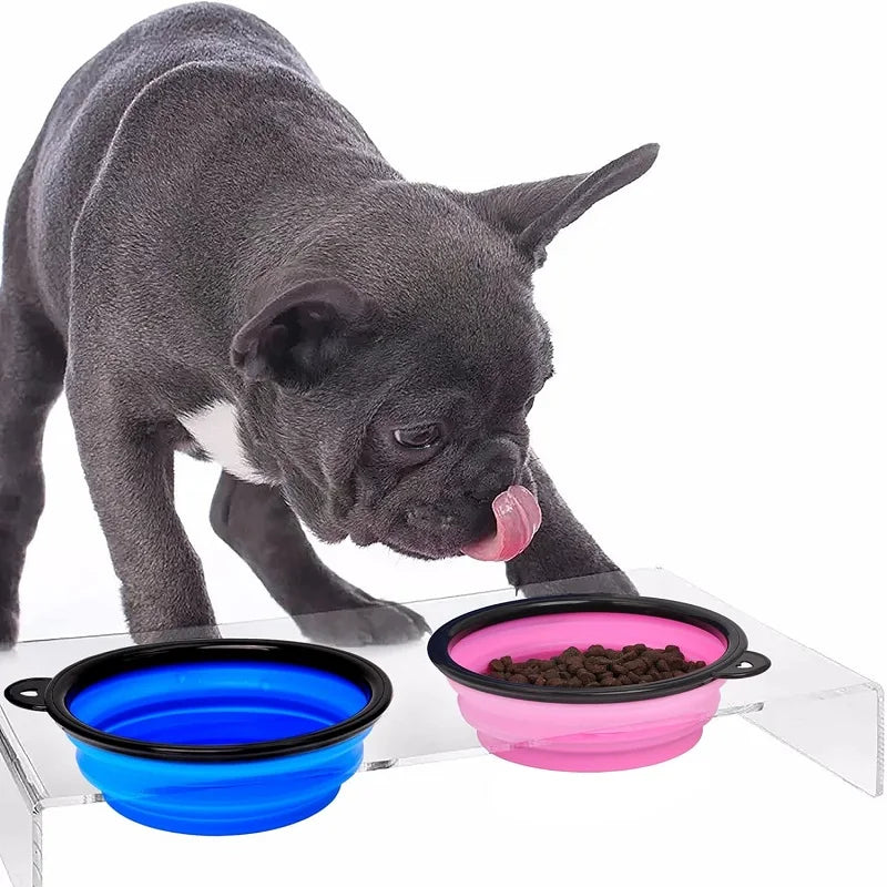 Portable Pet Food & Water Dispenser Bottle with Carabiner