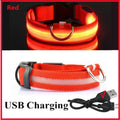 LED Glow Dog Collar – USB Rechargeable Night Safety Collar