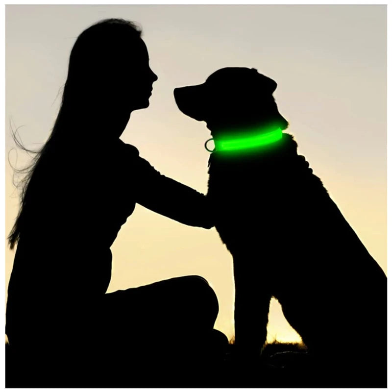 LED Glow Dog Collar – USB Rechargeable Night Safety Collar