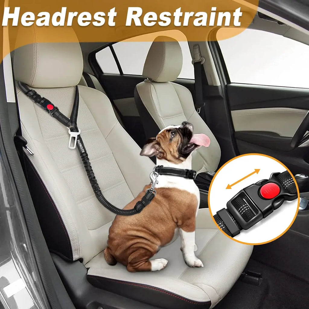 2-in-1 Dog Harness with Leash and Car Seat Belt Strap