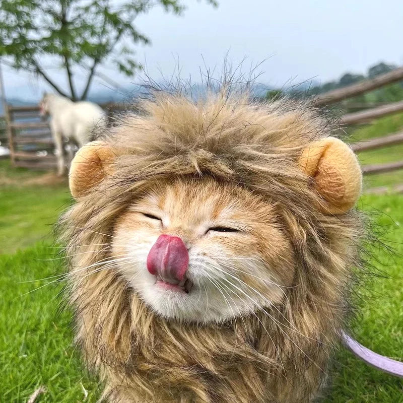 Halloween Lion Mane Wig Costume Hat with Ears for Cats & Small Dogs