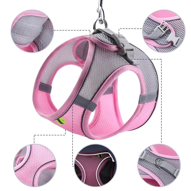 Adjustable Harness and Leash Set for Small Dogs, Puppies & Cats